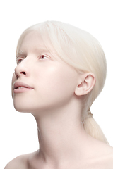 Image showing Portrait of beautiful albino woman isolated on white studio background. Beauty, fashion, skincare, cosmetics concept.