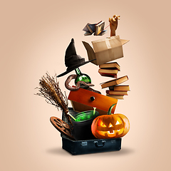 Image showing Collage of halloween witches\' equipment on soft brown background, Saints\' Eve mood