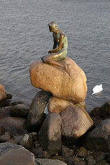 Image showing The litle mermaid in Copenhagen