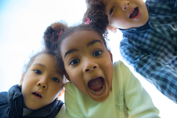 Image showing Interracial group of kids, girls and boys playing together at the park in summer day