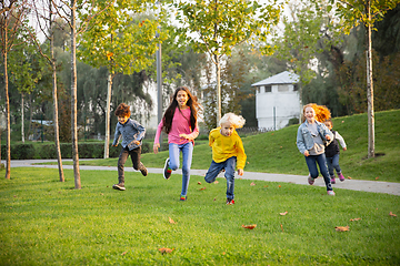 Image showing Interracial group of kids, girls and boys playing together at the park in summer day