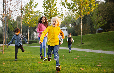 Image showing Interracial group of kids, girls and boys playing together at the park in summer day