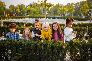 Image showing Interracial group of kids, girls and boys playing together at the park in summer day