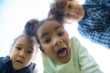 Image showing Interracial group of kids, girls and boys playing together at the park in summer day