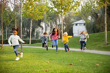 Image showing Interracial group of kids, girls and boys playing together at the park in summer day