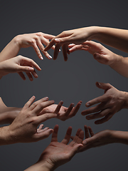 Image showing Hands of people\'s crows in touch isolated on grey studio background. Concept of human relation, community, togetherness, symbolism
