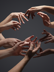 Image showing Hands of people\'s crows in touch isolated on grey studio background. Concept of human relation, community, togetherness, symbolism