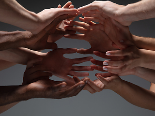 Image showing Hands of people\'s crowd in touch isolated on grey studio background. Concept of human relation, community, togetherness, symbolism