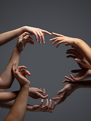 Image showing Hands of people\'s crowd in touch isolated on grey studio background. Concept of human relation, community, togetherness, symbolism