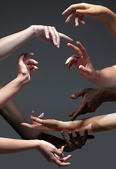 Image showing Hands of different people in touch isolated on grey studio background. Concept of human relation, community, togetherness, inclusion