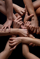 Image showing Hands of people\'s crowd in touch isolated on black studio background. Concept of human relation, community, togetherness, symbolism