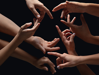 Image showing Hands of people\'s crowd in touch isolated on black studio background. Concept of human relation, community, togetherness, symbolism