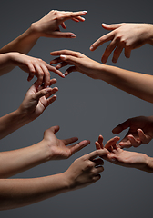 Image showing Hands of people\'s crowd in touch isolated on grey studio background. Concept of human relation, community, togetherness, symbolism