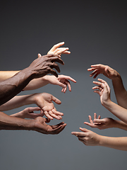 Image showing Hands of people\'s crowd in touch isolated on grey studio background. Concept of human relation, community, togetherness, symbolism