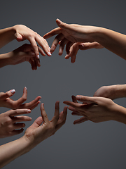 Image showing Hands of people\'s crows in touch isolated on grey studio background. Concept of human relation, community, togetherness, symbolism