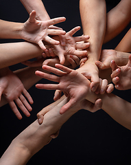 Image showing Hands of people\'s crowd in touch isolated on black studio background. Concept of human relation, community, togetherness, symbolism