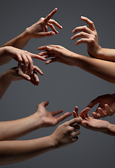 Image showing Hands of people\'s crowd in touch isolated on grey studio background. Concept of human relation, community, togetherness, symbolism