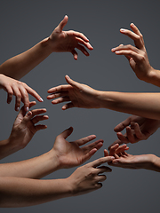 Image showing Hands of people\'s crowd in touch isolated on grey studio background. Concept of human relation, community, togetherness, symbolism