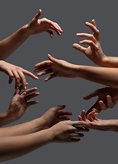 Image showing Hands of people\'s crowd in touch isolated on grey studio background. Concept of human relation, community, togetherness, symbolism