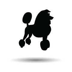 Image showing Poodle icon