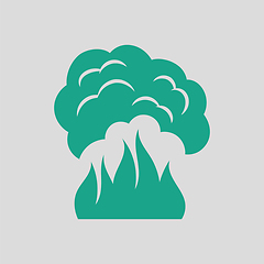 Image showing Fire and smoke icon