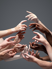 Image showing Hands of different people in touch isolated on grey studio background. Concept of human relation, community, togetherness, inclusion