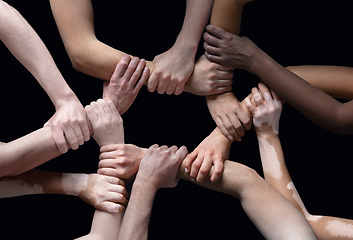 Image showing Hands of different people in touch isolated on black studio background. Concept of human relation, community, togetherness, inclusion