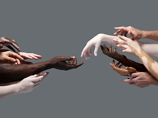 Image showing Hands of different people in touch isolated on grey studio background. Concept of human relation, community, togetherness, inclusion