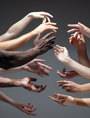 Image showing Hands of different people in touch isolated on grey studio background. Concept of human relation, community, togetherness, inclusion