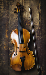 Image showing Viola