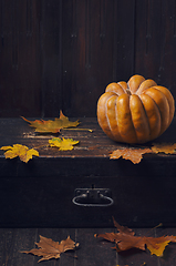 Image showing Halloween Pumpkin