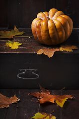 Image showing Halloween Pumpkin