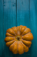 Image showing Pumpkin