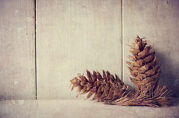 Image showing Pine cones