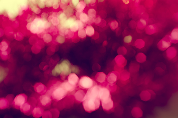 Image showing Pink Bokeh