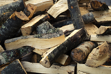 Image showing Firewood