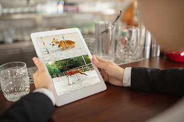 Image showing Remote working. Workplace in bar, restaurant office with PC, devices and gadgets.