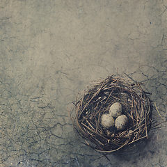 Image showing Bird Nest