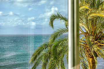 Image showing palm behind the window