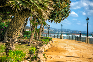 Image showing Promenade in Marbella, Spain