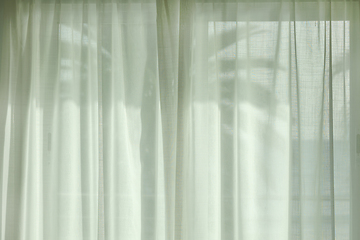 Image showing palm tree silhouette through the curtains
