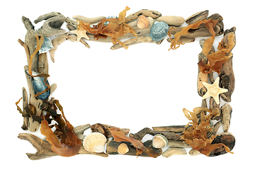 Image showing Driftwood Seaweed and Seashell Abstract Background Border