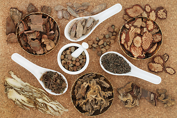 Image showing Natural Plant Based Traditional Chinese Herbal Medicine