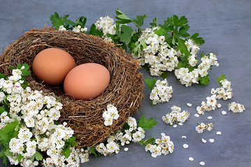 Image showing Fresh Brown Eggs for a Healthy Spring Breakfast