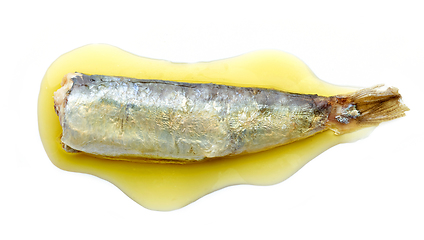 Image showing canned sardine in oil