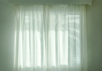 Image showing palm tree silhouette through the curtains