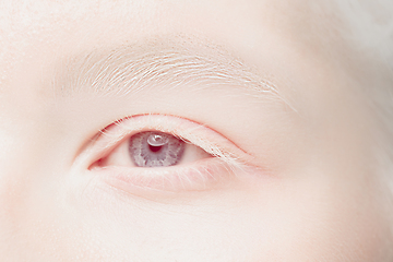 Image showing Close up portrait of beautiful albino woman isolated on studio background. Beauty, fashion, skincare, cosmetics concept. Details.