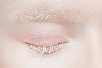 Image showing Close up portrait of beautiful albino woman isolated on studio background. Beauty, fashion, skincare, cosmetics concept. Details.