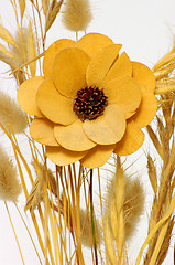 Image showing Dry flovers