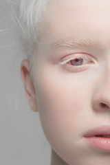 Image showing Close up portrait of beautiful albino woman isolated on studio background. Beauty, fashion, skincare, cosmetics concept. Details.